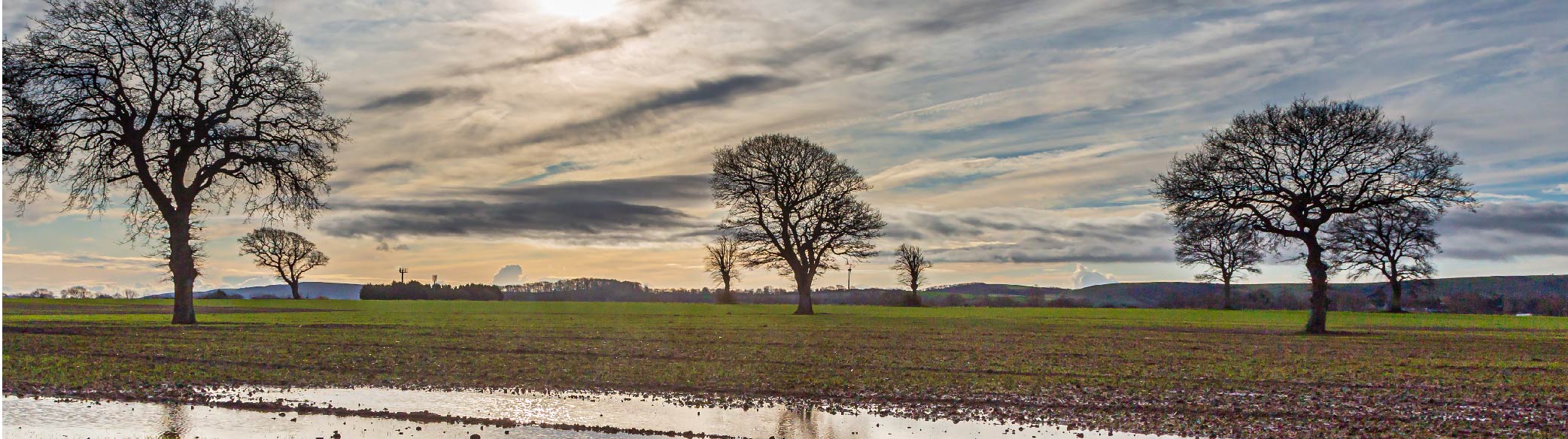 BWP – Website Updates Page- April april showers