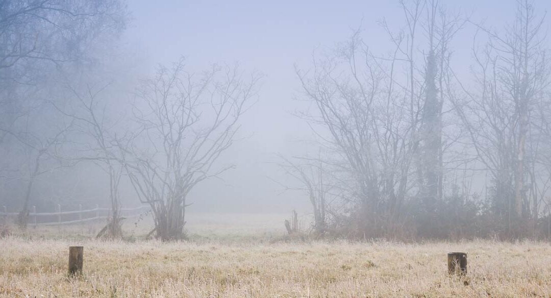 misty countryside