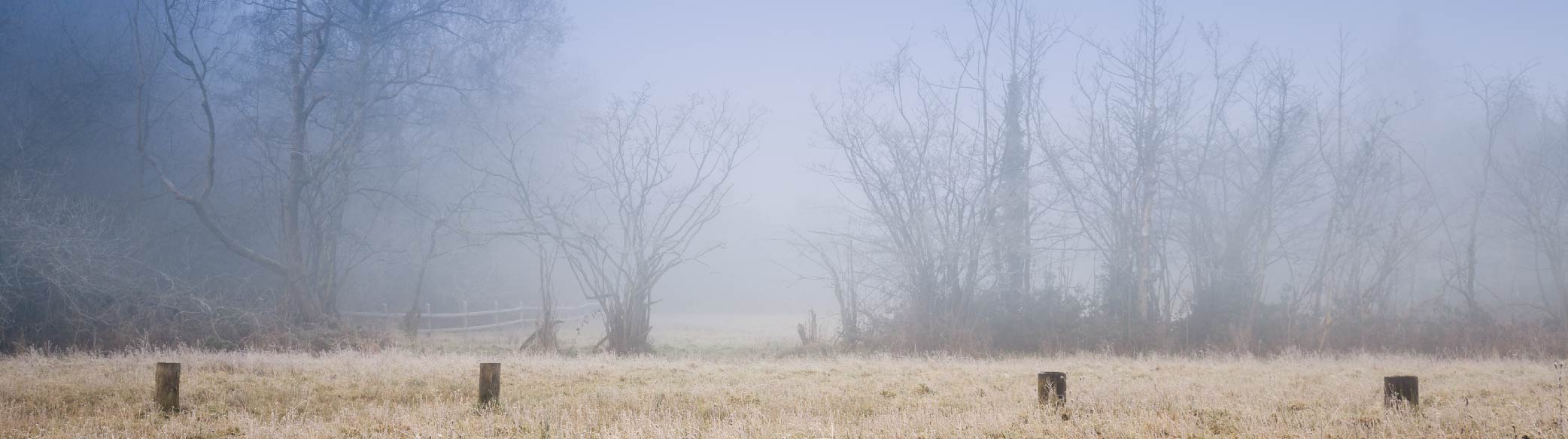 BWP – Website Updates Page- January misty countryside
