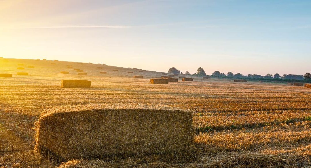 British countryside sunset