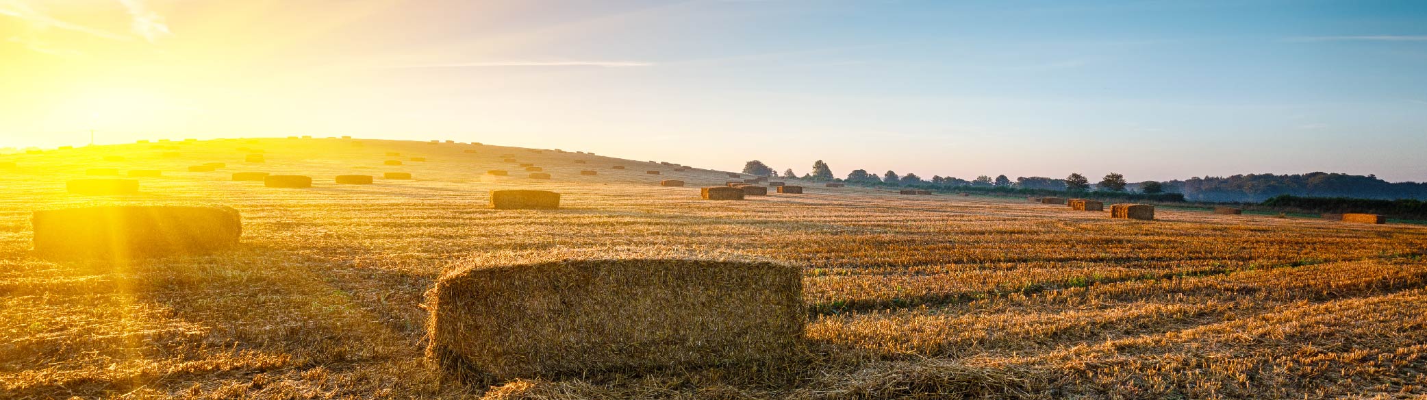 BWP – Website Updates Page- July British countryside sunset