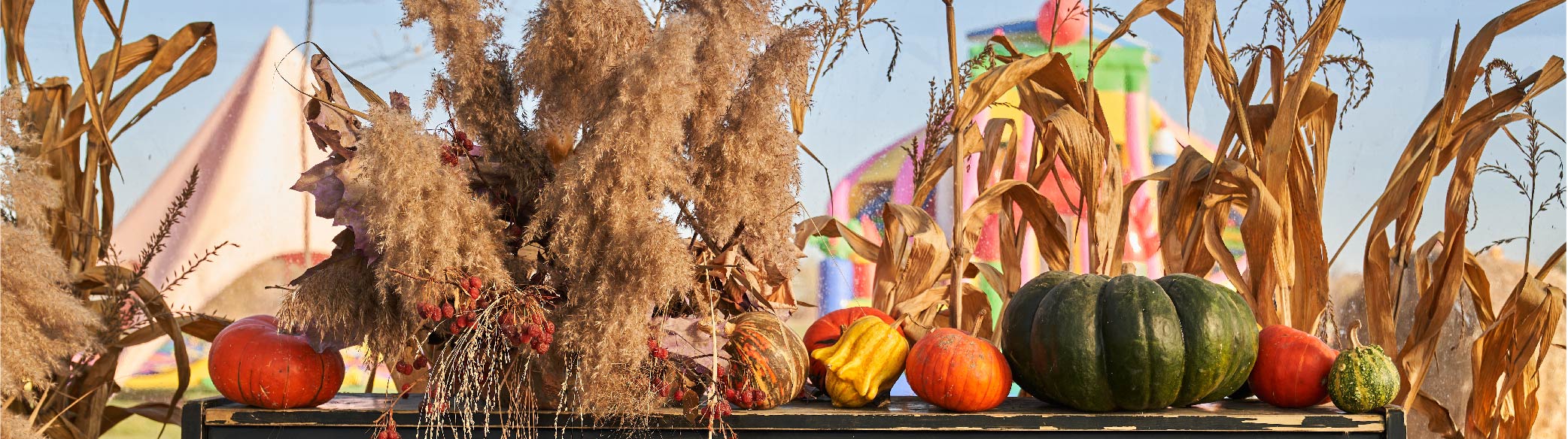 BWP – Website Updates Page- October Halloween piano