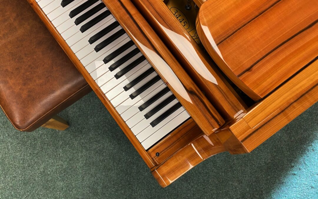 Wilh.Steinberg S-188 Apple Wood Grand Piano